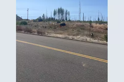 10141 Grizzly Flat Road, Grizzly Flats, CA 95636 - Photo 1