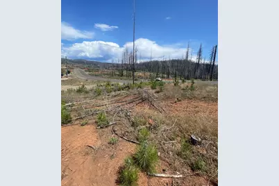 10141 Grizzly Flat Road, Grizzly Flats, CA 95636 - Photo 5