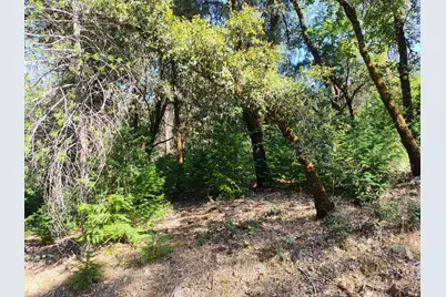 12226 Pine Cone Circle, Grass Valley, CA 95945 - Photo 13