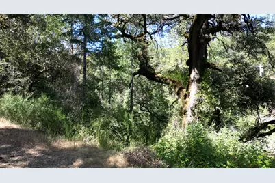 12226 Pine Cone Circle, Grass Valley, CA 95945 - Photo 3