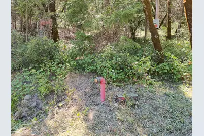 12226 Pine Cone Circle, Grass Valley, CA 95945 - Photo 9