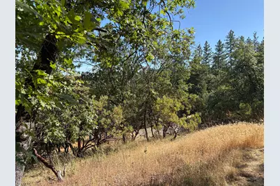 20790 Indian Drive, Colfax, CA 95713 - Photo 7