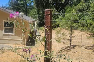 21819 Todd Valley Rd, Foresthill, CA 95631 - Photo 47