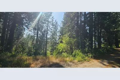 21819 Todd Valley Road, Foresthill, CA 95631 - Photo 61