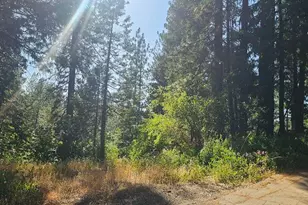 21819 Todd Valley Rd, Foresthill, CA 95631 - Photo 61