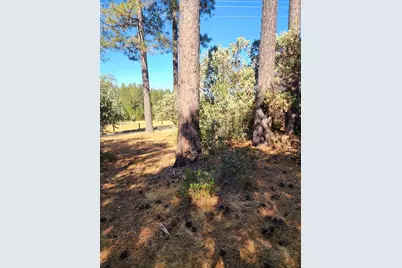 10550 Tabeaud Road, Pine Grove, CA 95665 - Photo 3