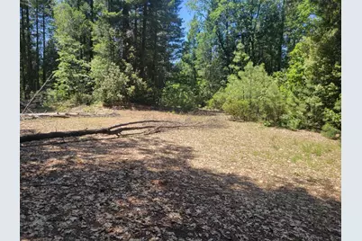 12 Ringtail, Georgetown, CA 95634 - Photo 13