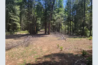 12 Ringtail, Georgetown, CA 95634 - Photo 1