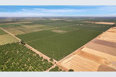 18190 E Copperopolis Road, Linden, CA 95236 - Photo 11