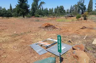 8645 Skyway, Paradise, CA 95969 - Photo 1