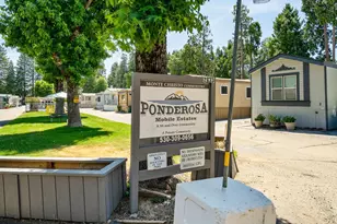 Forebay Rd, Pollock Pines, CA 95726 - Photo 21