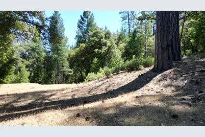 12258 Pine Cone Circle, Grass Valley, CA 95945 - Photo 5