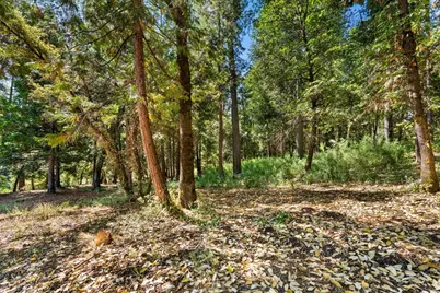 11620 Bitney Springs Road, Nevada City, CA 95959 - Photo 15
