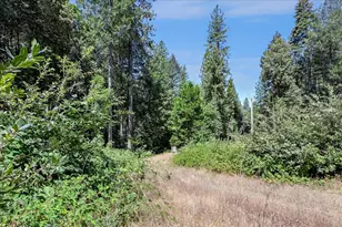 17079 Balboa Trl, Challenge, CA 95925 - Photo 7