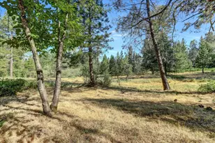 10978 Squirrel Creek, Grass Valley, CA 95945 - Photo 67