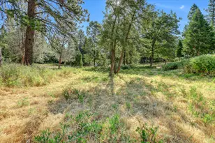 10978 Squirrel Creek, Grass Valley, CA 95945 - Photo 71