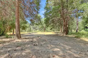 10978 Squirrel Creek, Grass Valley, CA 95945 - Photo 37