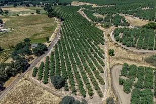 11012 Olive Rd, Oakdale, CA 95361 - Photo 39