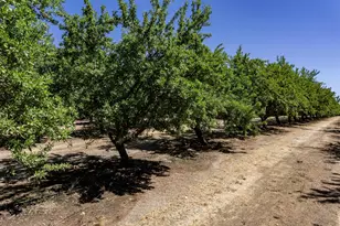 11012 Olive Rd, Oakdale, CA 95361 - Photo 31