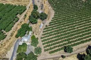 11012 Olive Rd, Oakdale, CA 95361 - Photo 49