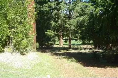 26441 Golf Links Drive, Pioneer, CA 95666 - Photo 1