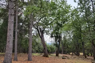 16700 Alice Way, Grass Valley, CA 95949 - Photo 1