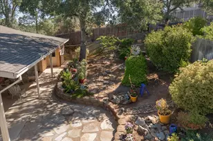 431 Live Oak Dr, Angels Camp, CA 05222 - Photo 27