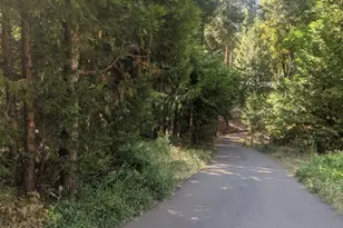 25952 Sylvan Rd, Pioneer, CA 95666 - Photo 1