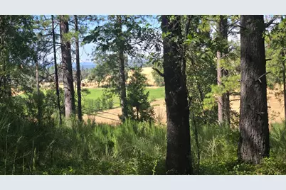 12042 Bitney Springs Road, Nevada City, CA 95959 - Photo 1