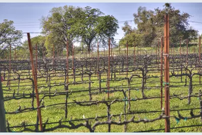 7505 Wise Road, Auburn, CA 95603 - Photo 29