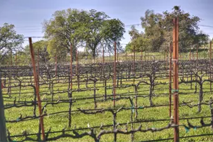 7505 Wise Rd, Auburn, CA 95603 - Photo 37