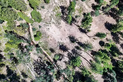 262 W Olympia Drive, Grass Valley, CA 95945 - Photo 41