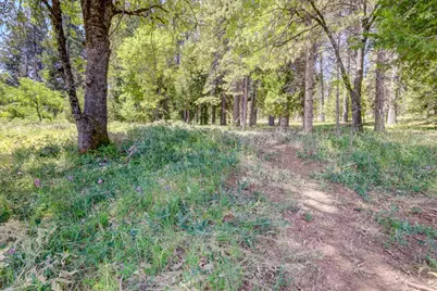 262 W Olympia Drive, Grass Valley, CA 95945 - Photo 11