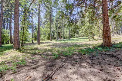 262 W Olympia Drive, Grass Valley, CA 95945 - Photo 23