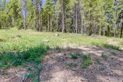 262 W Olympia Drive, Grass Valley, CA 95945 - Photo 33