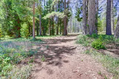 262 W Olympia Drive, Grass Valley, CA 95945 - Photo 15