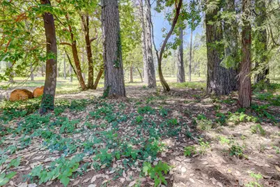 262 W Olympia Drive, Grass Valley, CA 95945 - Photo 17