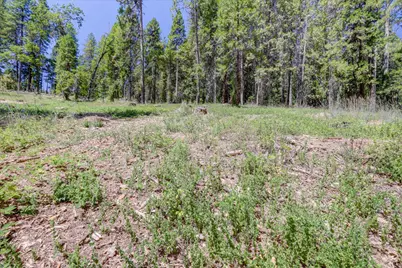 262 W Olympia Drive, Grass Valley, CA 95945 - Photo 31