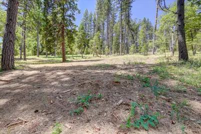262 W Olympia Drive, Grass Valley, CA 95945 - Photo 5