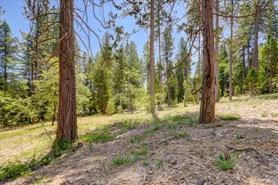 262 W Olympia Drive, Grass Valley, CA 95945 - Photo 35