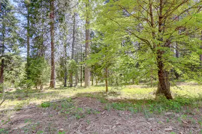 262 W Olympia Drive, Grass Valley, CA 95945 - Photo 27