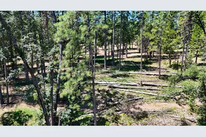 262 W Olympia Drive, Grass Valley, CA 95945 - Photo 9