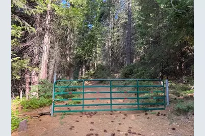 13264 Diamond Creek Road, Nevada City, CA 95959 - Photo 1