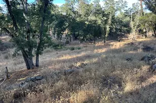 5147 Union Mine Rd, El Dorado, CA 95623 - Photo 13
