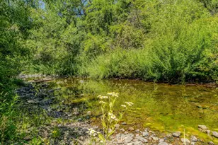 16000 Sutter Creek Rd, Sutter Creek, CA 95685 - Photo 61