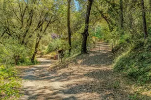 16000 Sutter Creek Rd, Sutter Creek, CA 95685 - Photo 53