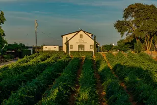 10786 Shenandoah Rd, Plymouth, CA 95669 - Photo 5