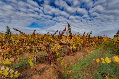 10786 Shenandoah Rd, Plymouth, CA 95669 - Photo 75