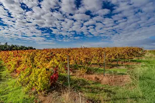 10786 Shenandoah Rd, Plymouth, CA 95669 - Photo 89