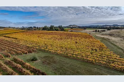 10786 Shenandoah Rd, Plymouth, CA 95669 - Photo 99